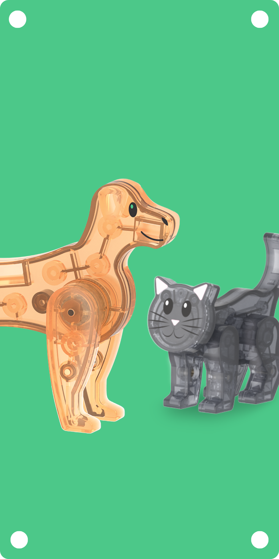 Animals